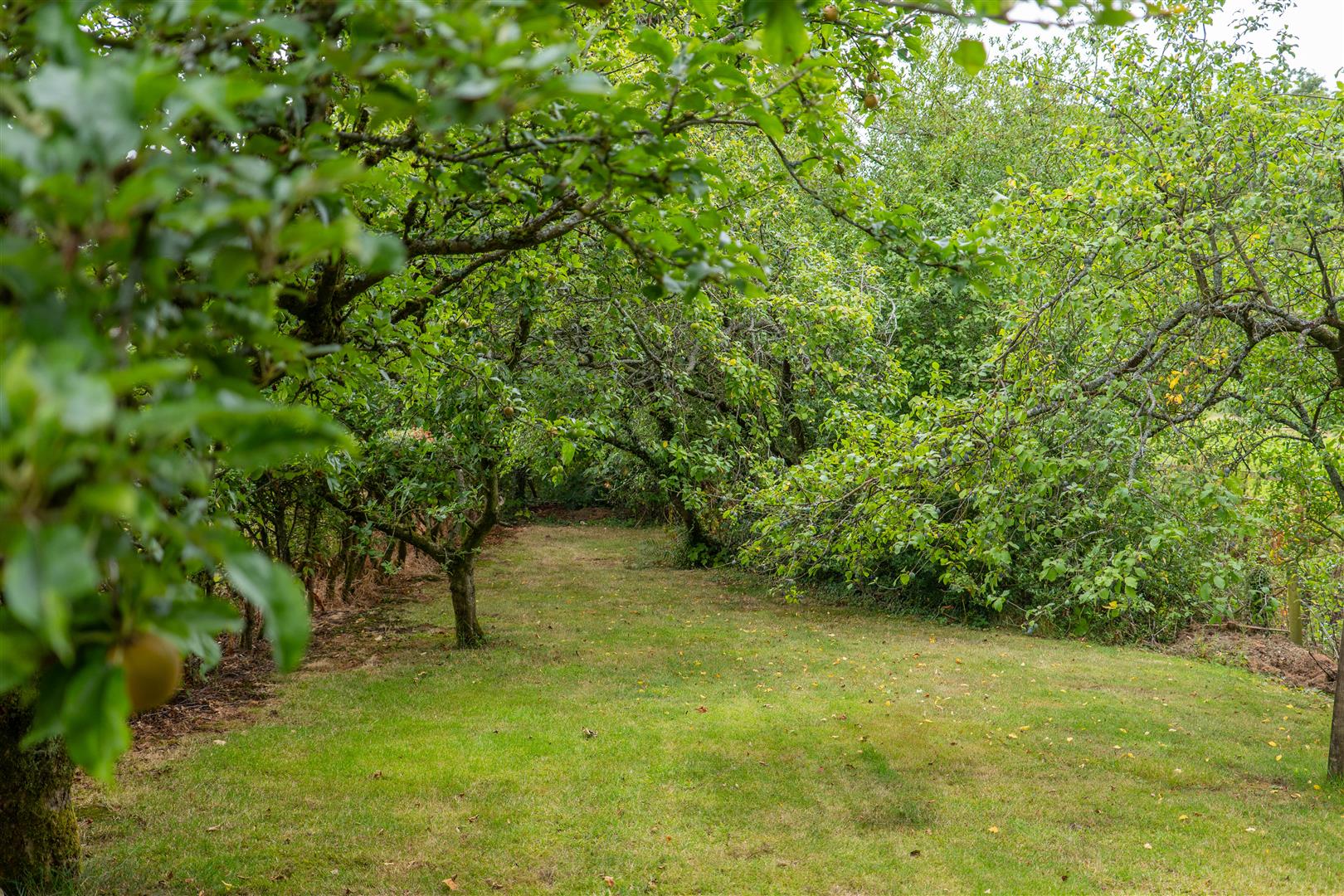 Wood Lane, Heskin, Chorley